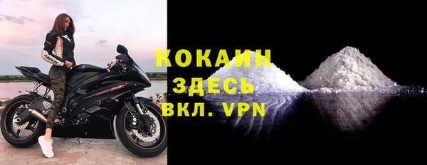 стаф Медногорск
