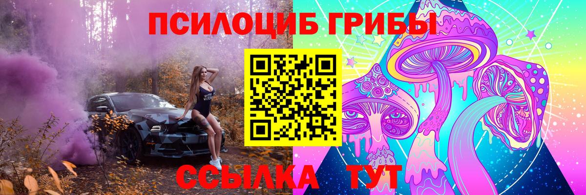 Псилоцибиновые грибы Psilocybe Химки