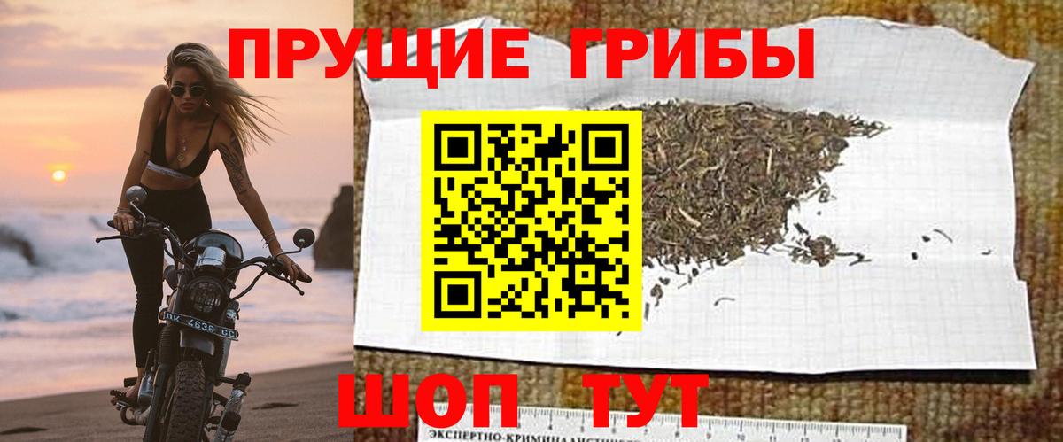 Галлюциногенные грибы Psilocybe  даркнет сайт  Химки  Вход с VPN  Псилоцибиновые грибы Psilocybe 